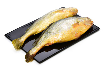 Yellow Croaker Fish On White background 