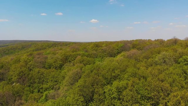 Codru wood, aerial view