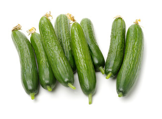 Lebanese Cucumber isolated on white background