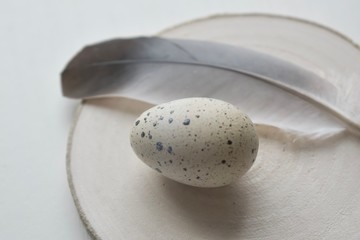 happy Easter. Quail eggs with feathers on pink background.  Easter background. Flatley.