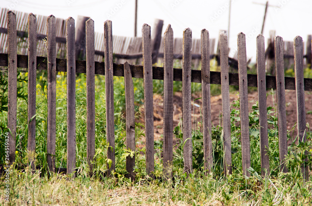 Wall mural old fence in the village