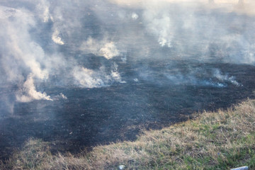 Raging forest spring fires. Burning dry grass, reed along lake. Grass is burning in meadow....