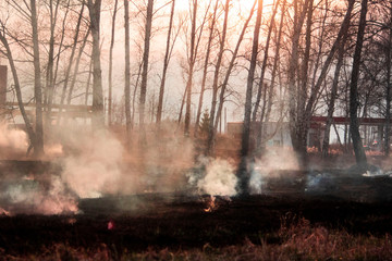 Raging forest spring fires. Burning dry grass, reed along lake. Grass is burning in meadow. Ecological catastrophy. Fire and smoke destroy all life. Firefighters extinguish Big fire. Lot of smok © Torkhov