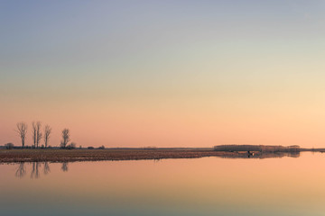 Fototapeta na wymiar Minimalistic water landscape with trees and reeds at dawn