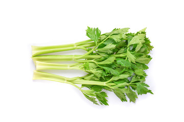 Celery on white background.