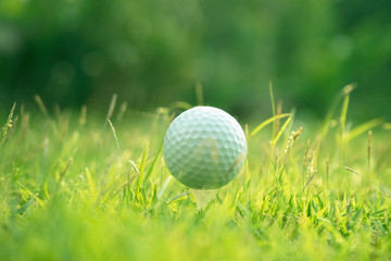 Golf ball and golf club in beautiful golf course at sunset background.