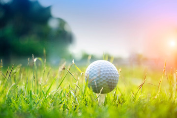 Golf ball on green grass in beautiful golf course at sunset background.