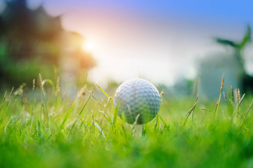 Golf ball and golf club in beautiful golf course at sunset background.