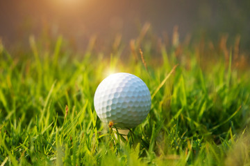 Golf ball on green grass in beautiful golf course at sunset background.