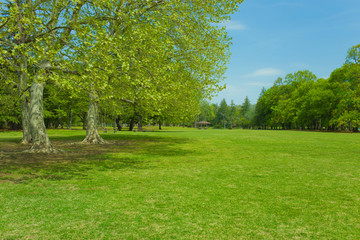 Green park 
