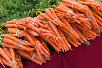 Carrots bunched with rubber bands and twist ties on table at Farmers Market. Fresh spring summer food