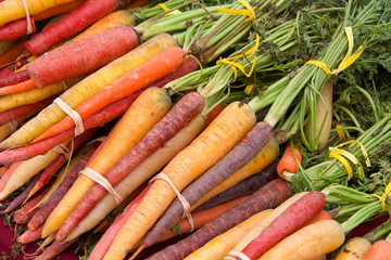 Rainbow carrots bunched with rubber bands and twist ties on table at Farmers Market. Fresh spring summer food