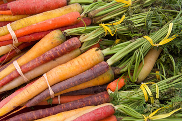 Rainbow carrots bunched with rubber bands and twist ties on table at Farmers Market. Fresh spring...