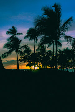 The sun sets behind silhouetted palm trees in a tropical paradise. The cloudy sky is purple, blue, red, and orange.  Relaxing travel and vacation summed up into one photo. 