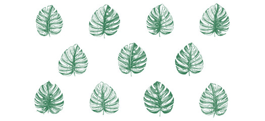 Tropical leaves hand drawn