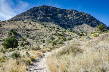 Walking Trail - Guadaloupe Mountains National Park - Texas