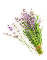 Bunch of Lavender flowers on a white background