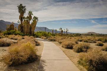Oasis of Mara Trail - Joshua Tree National Park - California