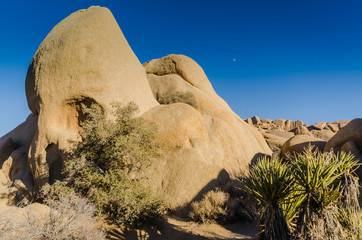 Skull Rock - Joshua Tree National Park