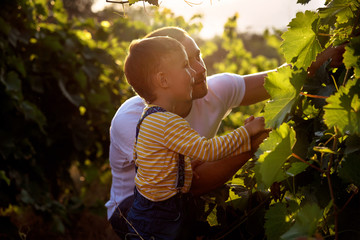 man and child in vineyards