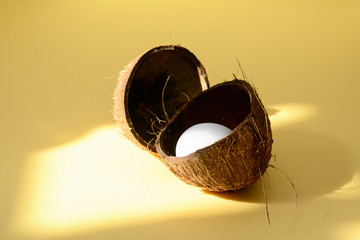 Obraz premium In the shell of a coconut is a chicken egg lit by sunlight.