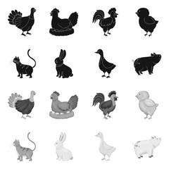 Isolated object of breeding and kitchen  sign. Collection of breeding and organic  stock vector illustration.