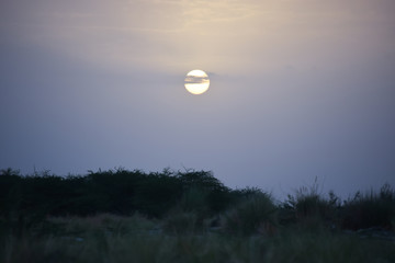 Sunset landscape grass tree view evening wallpaper