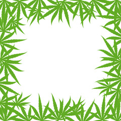 Marijuana green grass square frame banner. Cannabis hemp plant. Border frame isolated transparent background. Copy space for text place.