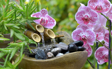 beautiful orchid and little fountain in a garden