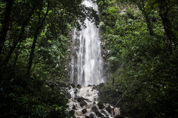 Fototapeta na wymiar Cascata nella foresta in un parco del Costa Rica
