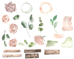 watercolor set tea roses, leaves light green, wooden watercolor boards, eucalyptus