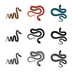 Isolated object of mammal and danger icon. Set of mammal and medicine stock vector illustration.