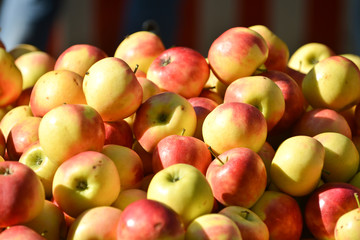 fruit bio pomme