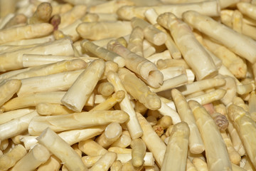 legume asperges