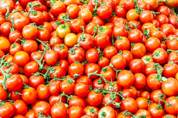 Tomatoes sold in Shuk Hacarmel market, Tel Aviv, Israel