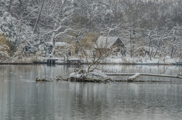 Winter by a river