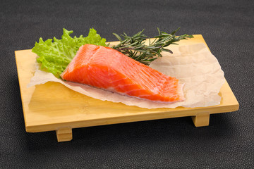 Piece of raw salmon