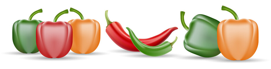 Vector Set of Chili Pepper and Colored Yellow Green and Red Sweet Bulgarian Bell Peppers, Paprika and Chili Isolated On White Background