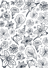 Sketches of flowers on a white background. Floral banner. Vector illustration.