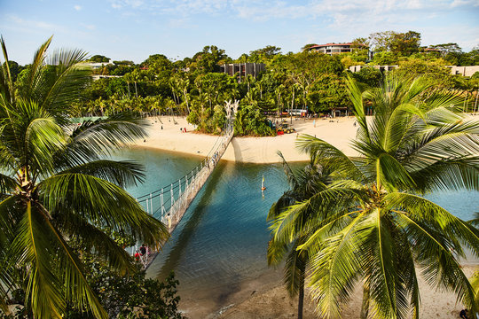 View of the park and the suspension bridge of the island of Sentosa