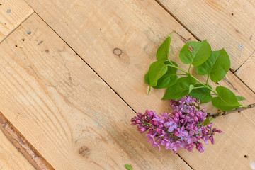 Obraz na płótnie Canvas Lilac flowers on a old wooden background