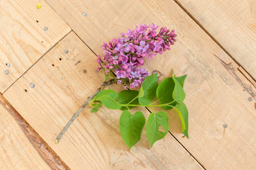 Lilac flowers on a old wooden background