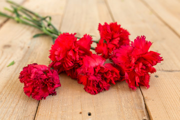 Red carnations on wooden background