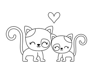 couple of cute cat animal isolated icon