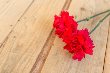Naklejka premium two red carnations on the wooden background copy space