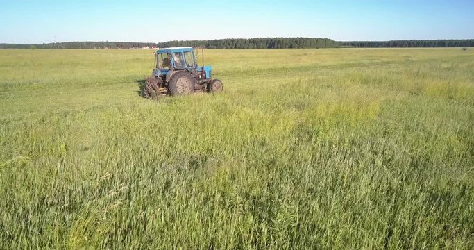 bird eye flight boundless green field filled with grass cutting off by haymaker under blue sky
