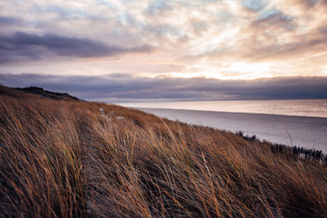 Fototapeta premium Sunset and dunes at the nothern coast