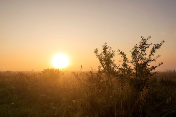 Rural early morning sunrise, fog and russians landscape. Summer background