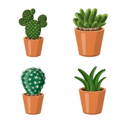 Stickers pour porte Cactus en pot Objet isolé de cactus et signe de pot. Collection d& 39 icônes vectorielles de cactus et de cactus pour le stock.