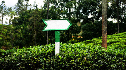direction board in tea field